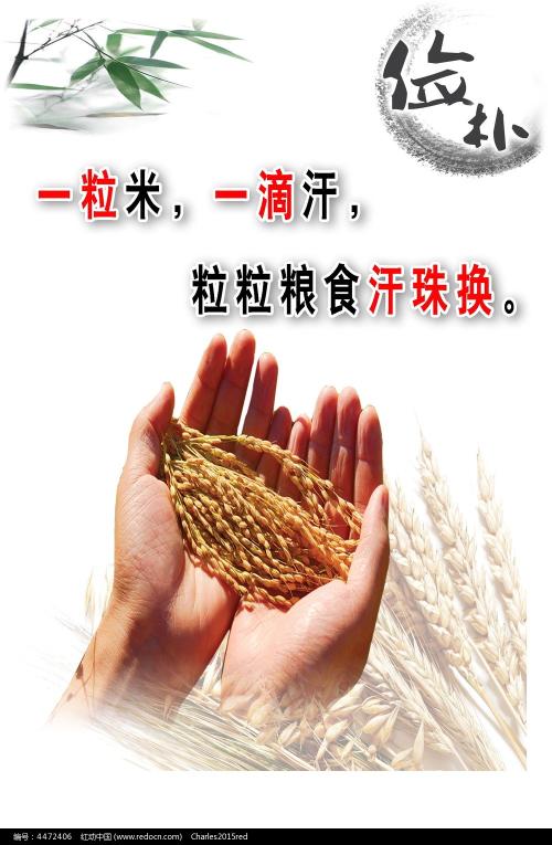 雷恩第一大学diploma